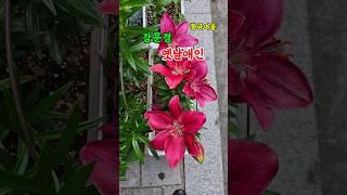 강문경 옛날애인