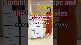 Specially customized European and American energy storage batteries#partastar #factory #midechina