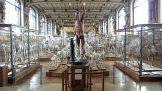 PARIS 2015 - MUSEUM NATIONAL D'HISTOIRE NATURELLE