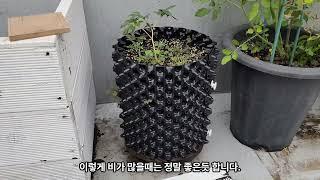 EP 20 옥상정원만들기 - 장마는 .....답이없다 !!