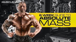 6 WEEKS TO ABSOLUTE MASS | Part 1: Training