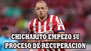 Chicharito Empezo Su Recuperacion De La Lesion Muscular Y Regresaria En 3 Semanas A Jugar Con Chivas