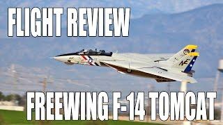 Flight Review, Setup, & Programming -- Freewing F-14 Tomcat (Twin 80mm EDF)