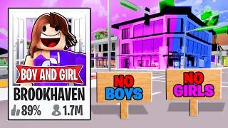 I Created a BOYS VS GIRLS Brookhaven!