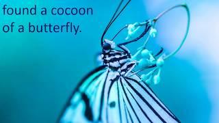 Motivational Story || Butterfly Out of a Cocoon || Life Lesson || Dare to Do