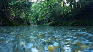 10 Hrs of Gently Flowing River Sounds - No Birds or Music