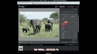 Lightroom Classic 教程，如何在 Lightroom 中創建高於平均水平的圖像？