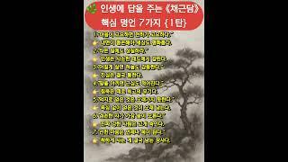 #채근담 #동양명언 #삶의지혜 #고전의 힘 #인생명언 #평온한삶 #채근담명언 #고전공부
