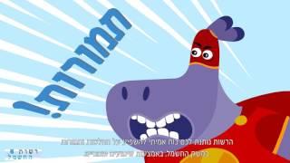 סרטון תדמית - רשות החשמל
