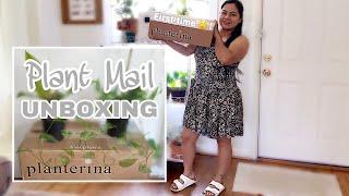 NEW PLANTERINA PLANT HAUL & FIRST IMPRESSIONS | FIRST TIME PLANTERINA UNBOXING | PLANT MAIL