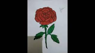 Rose Drawing very easy#shorts#trending#Shi'sArts