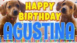 Happy Birthday Agustina! ( Funny Talking Dogs ) What Is Free On My Birthday