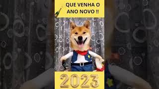 Já estamos no clima de despedida de 2022 e você?  #shorts