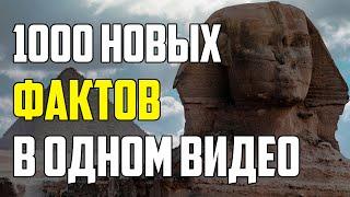 1000 НОВЫХ ФАКТОВ В ОДНОМ ВИДЕО