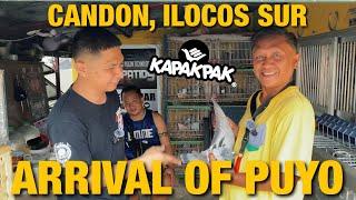 THE ARRIVAL OF PUYO FROM CANDON ILOCOS SUR