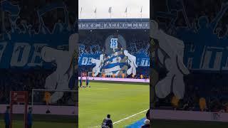 15th years anniversary of tribunezuid! KRC Genk at home vs Club Brugge today!  #ultra #ultras