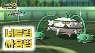 철도토리 포켓몬 너트령 사용법을 알아보자! / ナットレイ [Pokémon USUM]