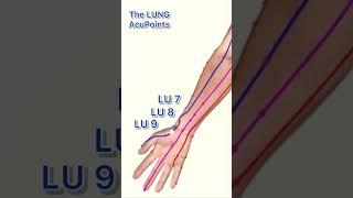 The LUNG meridian acupuncture points #acupuncturepoints