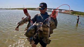 Fishing for BLACK DRUM Packery Channel Bridge (Corpus Christi, Tx)