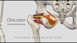 Obturator Internus and Externus