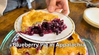 The BEST Blueberry Pie and So Easy to Make!