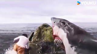 Woman fights the shark with all her might! | Huge Shark! | YOUKU MONSTER MOVIE