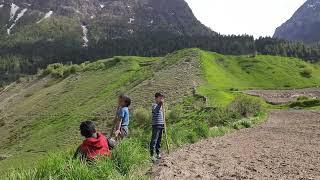 Himalayan Host #shortvideo #lahaul #vídeoviral