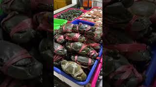 РЫБНЫЙ РЫНОК БАЛИ! СКОЛЬКО СТОЯТ МОРЕПРОДУКТЫ НА БАЛИ! #бали #путешествия