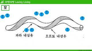 기술가정 - 의복 재료의 특성 - 천연섬유 - 모 섬유