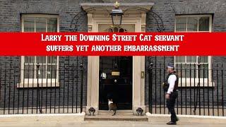 Larry the Downing Street Cat servant suffers yet another embarrassment