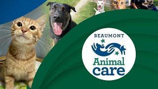 Beaumont Animal Care | City of Beaumont, TX