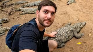 Acariciando COCODRILOS en Gambia