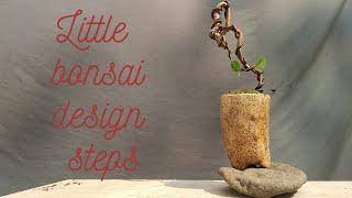 Little bonsai design steps