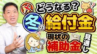 【続報!! 冬の給付金 10万円⇒3万円】給付対象の想定/ 低所得世帯の具体的な給与・年金収入の基準/ 物価高対策/ 今後の経済対策、補助金の見通し/ 厚労省支援/ 詐欺注意等〈R6年10/23時点〉