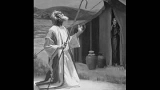 Abraham's Seed