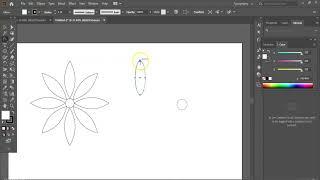 Symmetric patterns on the circle | Flowers petals on simple way in Adobe Illustrator