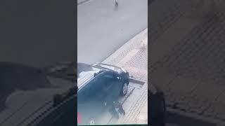 Bursa'da bir çocuk sahipsiz köpeklerin saldırısına uğradı