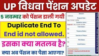 UP Vidhwa Pension Kab Aaegi 2024 | Widow Pension Ka Paisa Kab Milega | Vidhwa Pension New Update