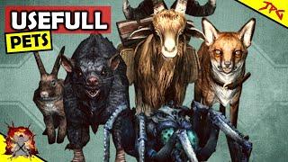 PETS OF SKYRIM! Guide To Best And Worst Pets! Fox, Bunny, Skeever, Goat And Frost Spider Pets!