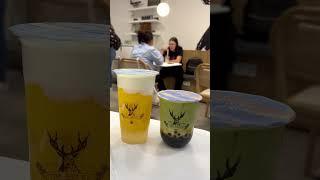 Best boba I tried in Germany  | The Alley Frankfurt am Main  #shorts