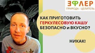 ВО ЧТО ПРЕВРАЩАЮТСЯ ЗЛАКОВЫЕ, СЕМЕНА в ВАШЕМ ОРГАНИЗМЕ? НЕСЪЕДОБНОЕ в СЪЕДОБНОЕ? ГНИЕНИЕ и БРОЖЕНИЕ