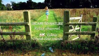 Escape to Nature Trailer 02 | Relaxing Channel | Audiovisual Experience