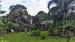 Summer tour - Tropical exotic fruit forest - lots of updates- Zone 9b