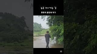 젊은 농부가 농로 지나가는 길 그냥 못지나가요. #노란용 #시골생활 #농로 #농부의하루 #젊은농부