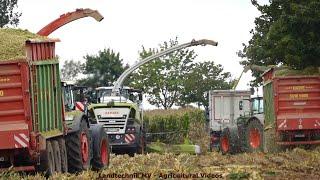 Claas - Fendt - Hawe - Iveco - ++ / Maissilage - Silaging Maize