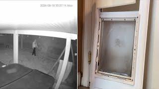 'Someone was in our house': Video captures burglar entering home through doggie door