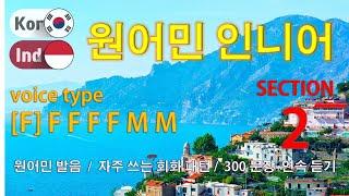 원어민 인니어 / Type [F] F F F F M M [Section 2] 자주 쓰는 회화 패턴. / 짧고 쉬운 300문장 연속듣기