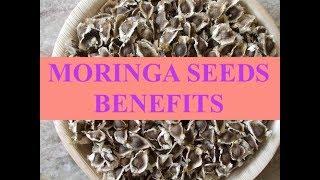 MORINGA SEEDS: BENEFITS