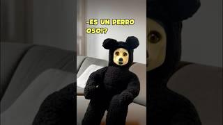 NO TENGAS PELUCHES, EL PERRO OSO LO RECUERDAS? ️ … #shorts