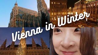 Why You Should Visit Vienna in Winter? | 9 Unique Things To Do in Vienna in Winter